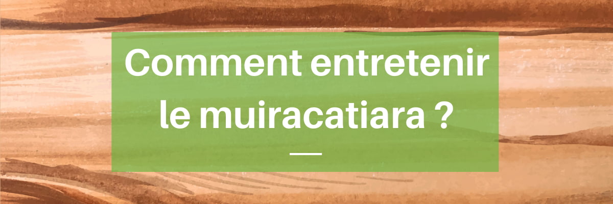 entretien du bois de muiracatiara