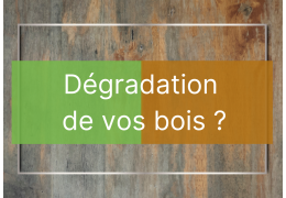 La dégradation des bois